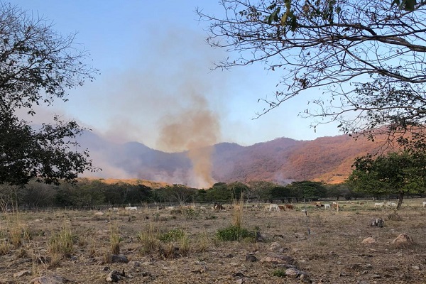 Aunque se han controlado la mayoría de los incendios, aún persisten focos en el Cesar: Jefa de Gestión del Riesgo informa sobre situación