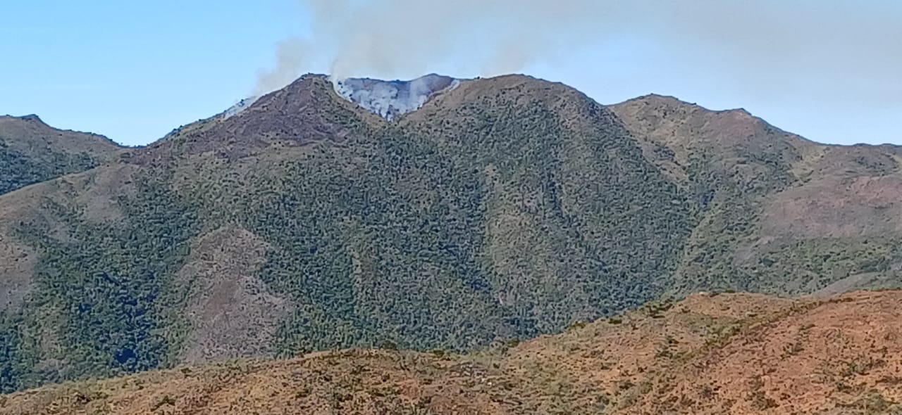 Volvieron los incendios forestales: Jefe de la Oficina de Gestión de Riesgos entrega parte sobre la situación en el departamento