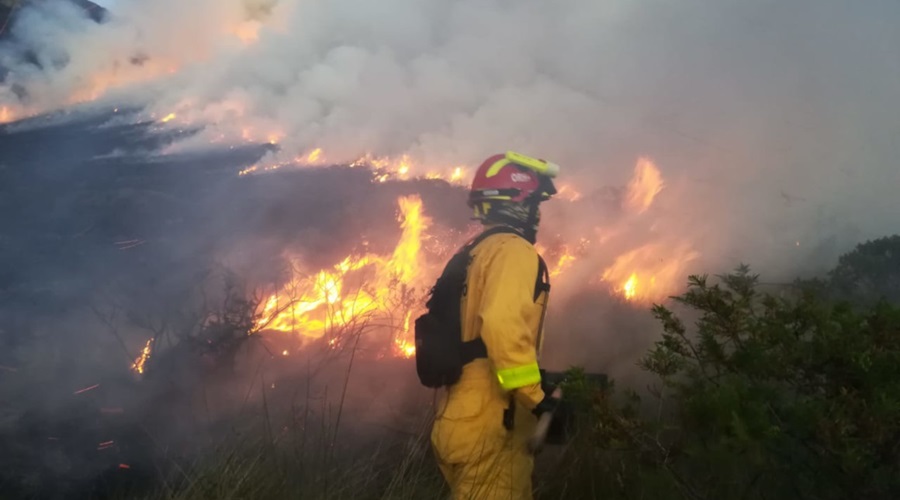 Aunque lluvias terminaron de extinguir los incendios forestales, piden a alcaldes no bajar la guardia frente al fenómeno de El Niño