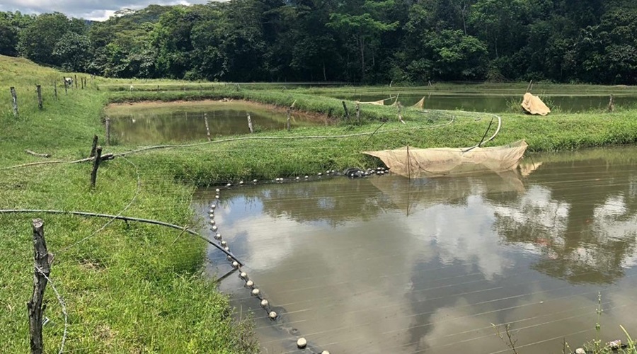 Tragedia en Valledupar, niño de dos años fallece tras caer en un estanque piscícola