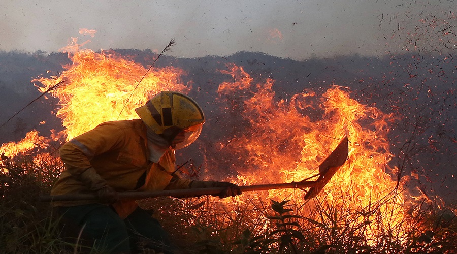 Vuelven los incendios forestales al Departamento del Cesar