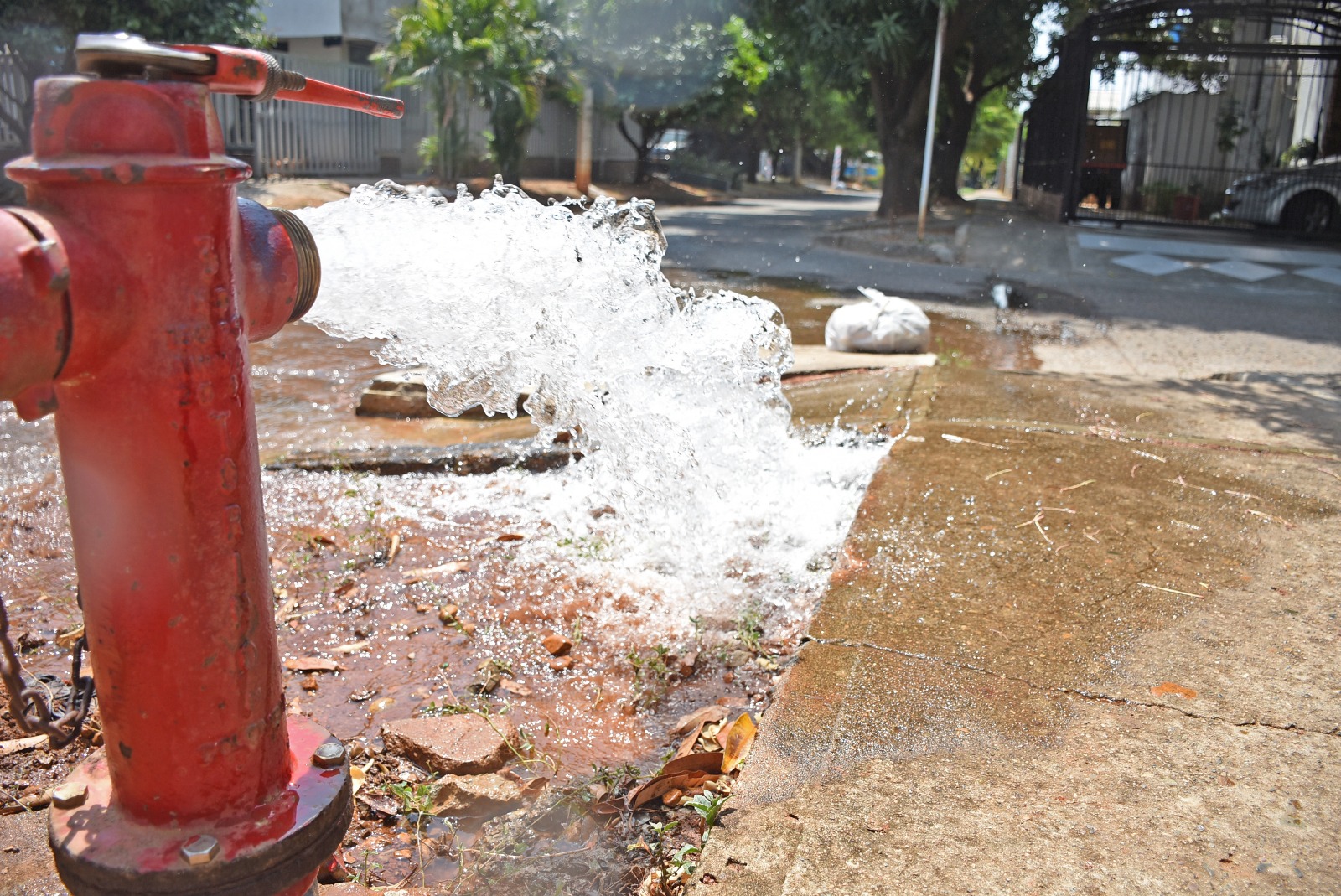 Tres días sin agua en Terranova