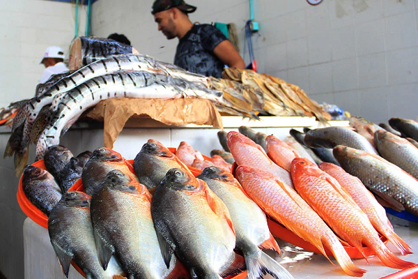 Problemas de salubridad en pabellón del pescado denuncian los mismos trabajadores del Mercado de Valledupar