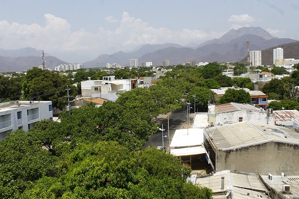 Oficina del Árbol, una vieja propuesta que cobra vigencia a raíz de las altas temperaturas