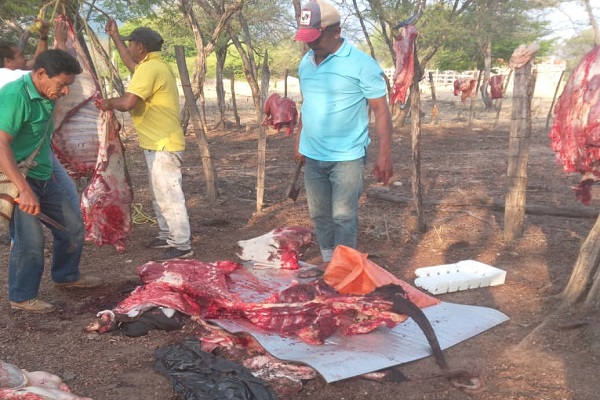 Pelaron reses de un colegio agrícola en zona rural de Valledupar