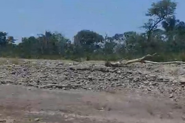 Río Tocuy cada día más seco