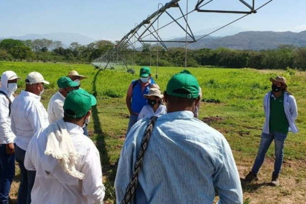 Gobernadora se pronunció acerca de la demora en la puesta en funcionamiento del proyecto AGRICEL