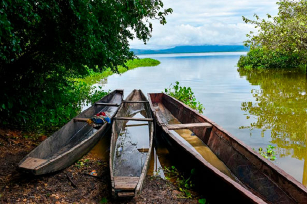 Denuncian a gerente de hospital de Saloa por cerrar puertas del centro asistencial ante ataque a personal médico