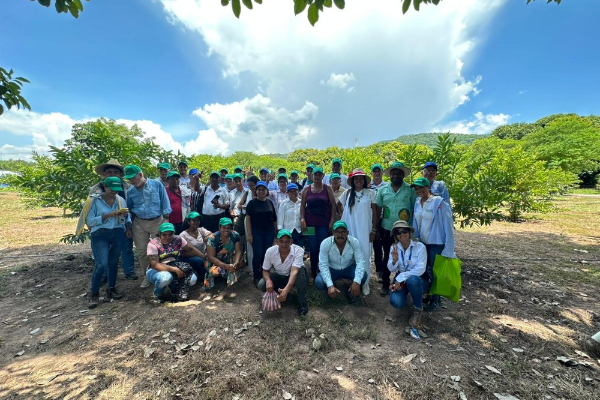 Productores del Cesar reciben semillas mejoradas de Yuca, Batata y Ahuyama gracias a AGROSAVIA