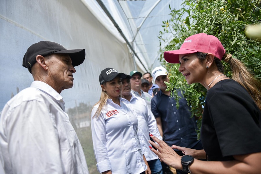 Gobernadora Elvia Milena Sanjuan inaugura 33 invernaderos para impulsar la productividad y la economía en González y Río de Oro