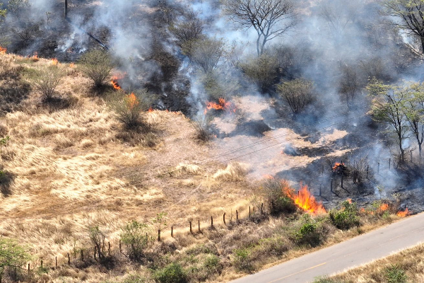 Concejal de Valledupar exige cuentas claras a  Corpocesar por crisis ambiental