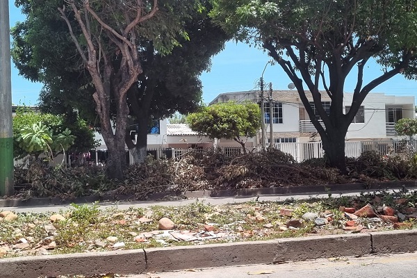 ¿La recolección para cuando?. Podas de árboles que eran necesarias, afean avenida Los Militares