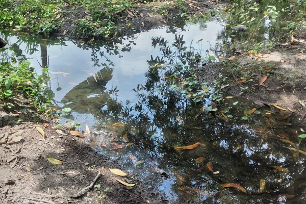 Llamado urgente de la comunidad de El Eneal, ante desbordamiento de acequia