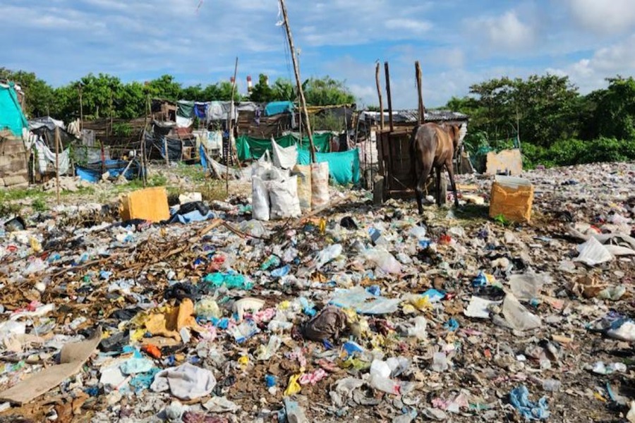 Basurero a cielo abierto causa alarma entre habitantes de urbanización Don Alberto