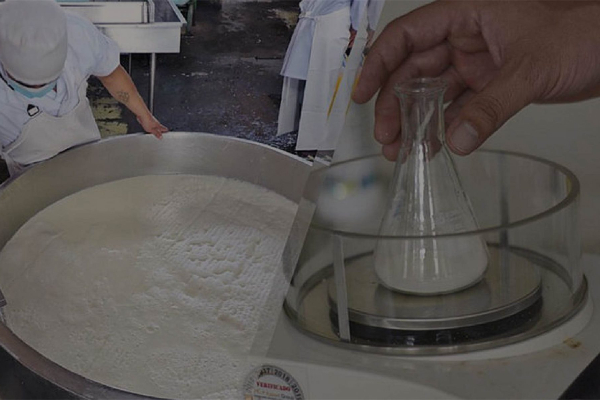 ¡Nos están engañando! En Colombia la leche contiene lactosuero