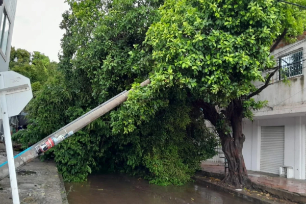 Municipio de Valledupar activa plan de contingencia ante estragos por Vendavales