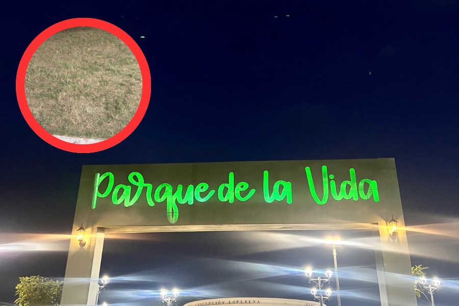 <br>Deterioro temprano en el césped del Parque de la Vida genera preocupación en Valledupar