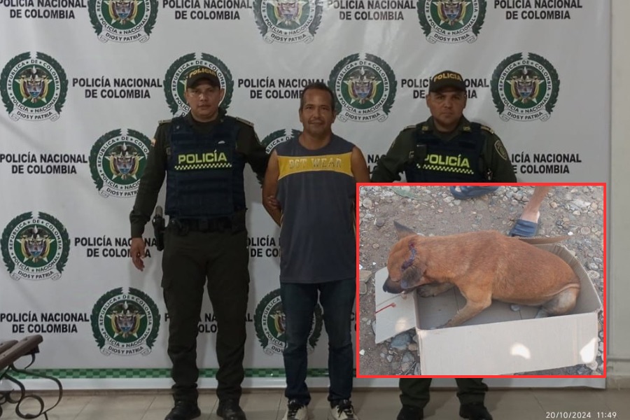 ¡Que cruel!: Hombre es capturado por agredir a un perro en Valledupar
