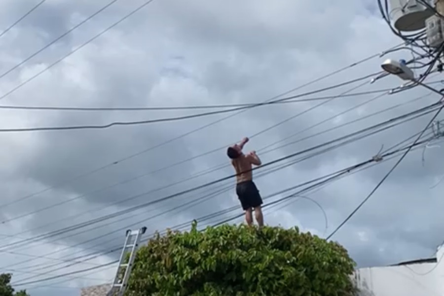 Hombre sufre descarga eléctrica mientras realizaba trabajo en un árbol en Becerril