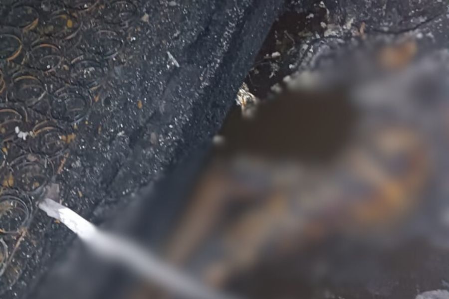 Incendio pone de manifiesto la necesidad de modernizar dotación al Cuerpo de Bomberos