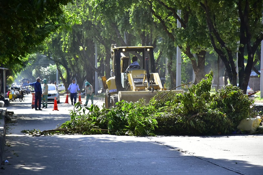 Jornada de limpieza y sensibilización revitaliza la avenida Los Militares en Valledupar