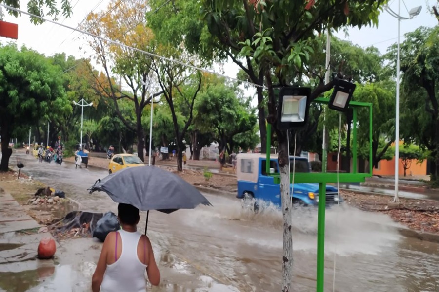 Cambio abrupto del clima tiene a autoridades ambientales implementando nuevas estrategias para hacerle frente