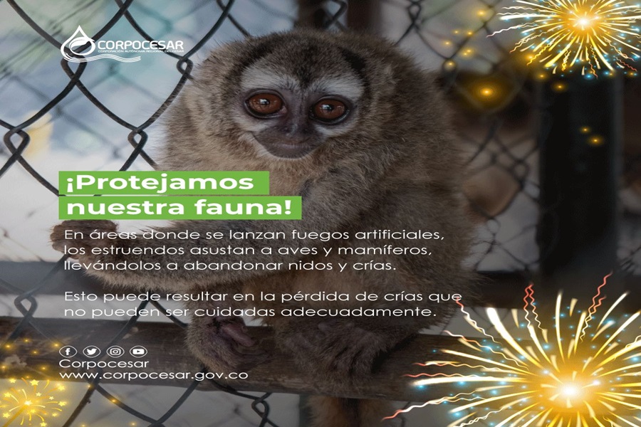 Corpocesar alerta sobre los riesgos de la pólvora en fauna silvestre y doméstica