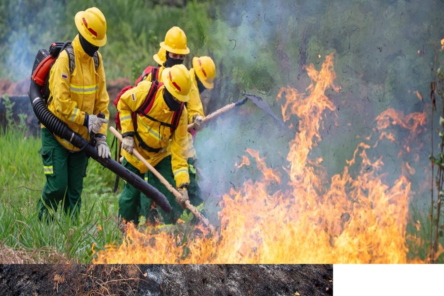 Bomberos han tenido que enfrentar  varios incendios forestales en Valledupar durante las últimas horas