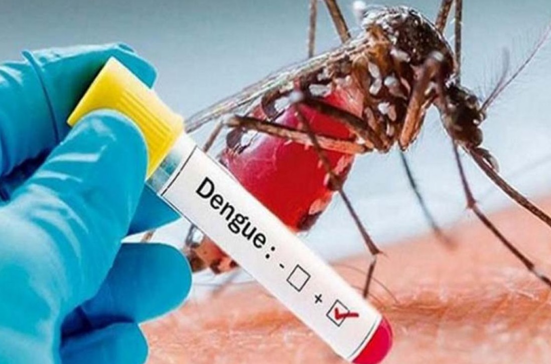 Alerta por incremento de casos de dengue en el Cesar: tres municipios se encuentran en ‘zona de brote’