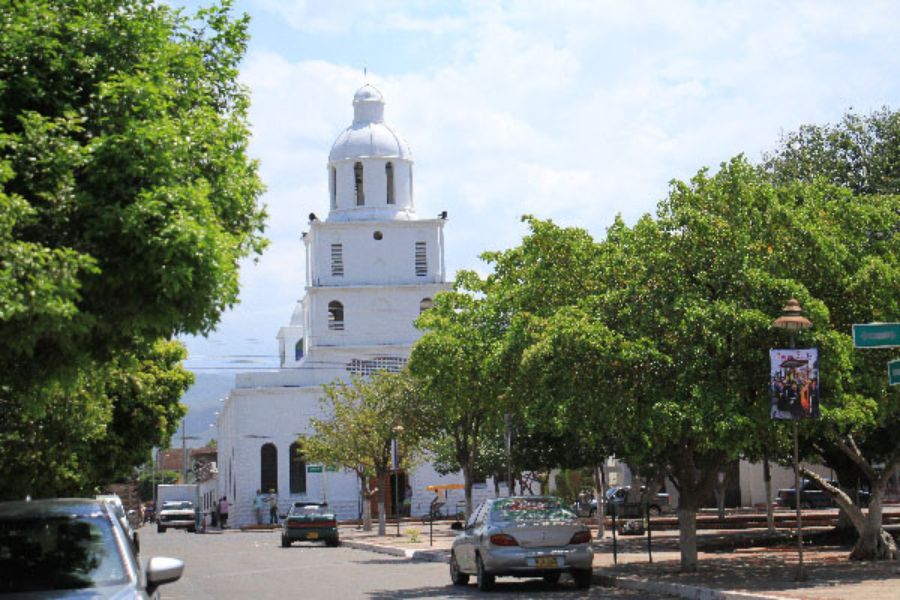 Adolescente muere arrollado al intentar recoger una iguana en la vía San Diego-Codazzi