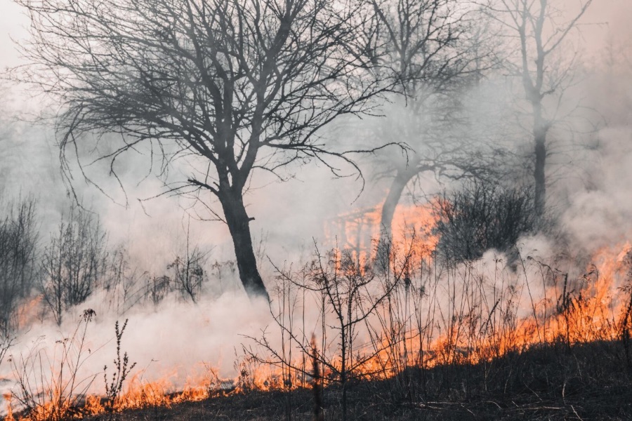 Incendio forestal en Los Cominos de Valerio se agrava: Bomberos piden apoyo aéreo urgente