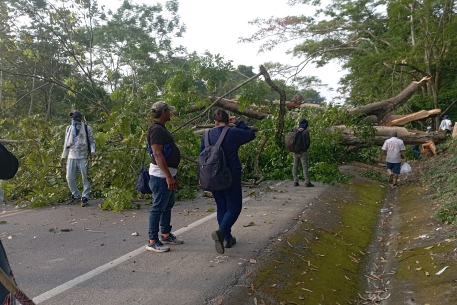 Bloqueo en el Cesar completa más de 30 horas y genera preocupación por desabastecimiento