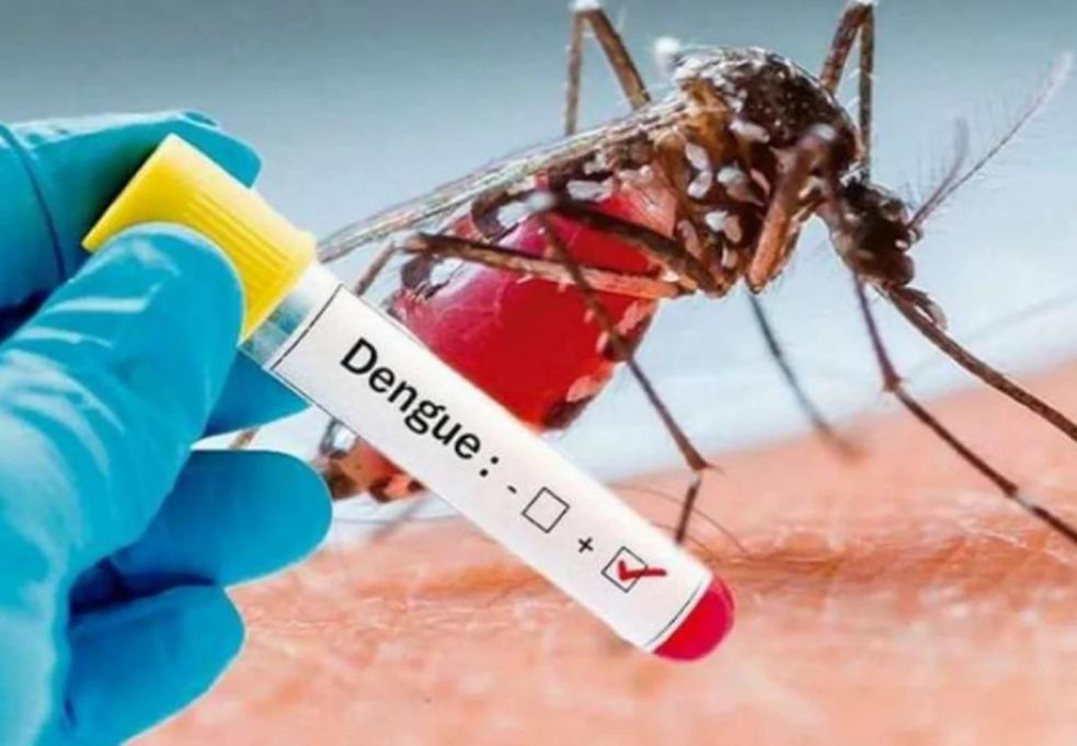 La Secretaría de Salud reporta 303 casos confirmados de dengue en Valledupar
