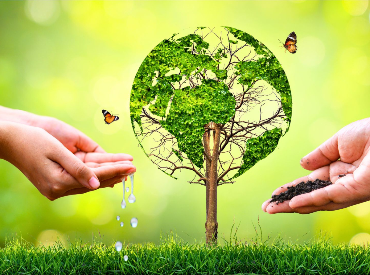 Valledupar será sede de la primera cumbre ambiental de los pueblos del Cesar, Territorial  y Mujer