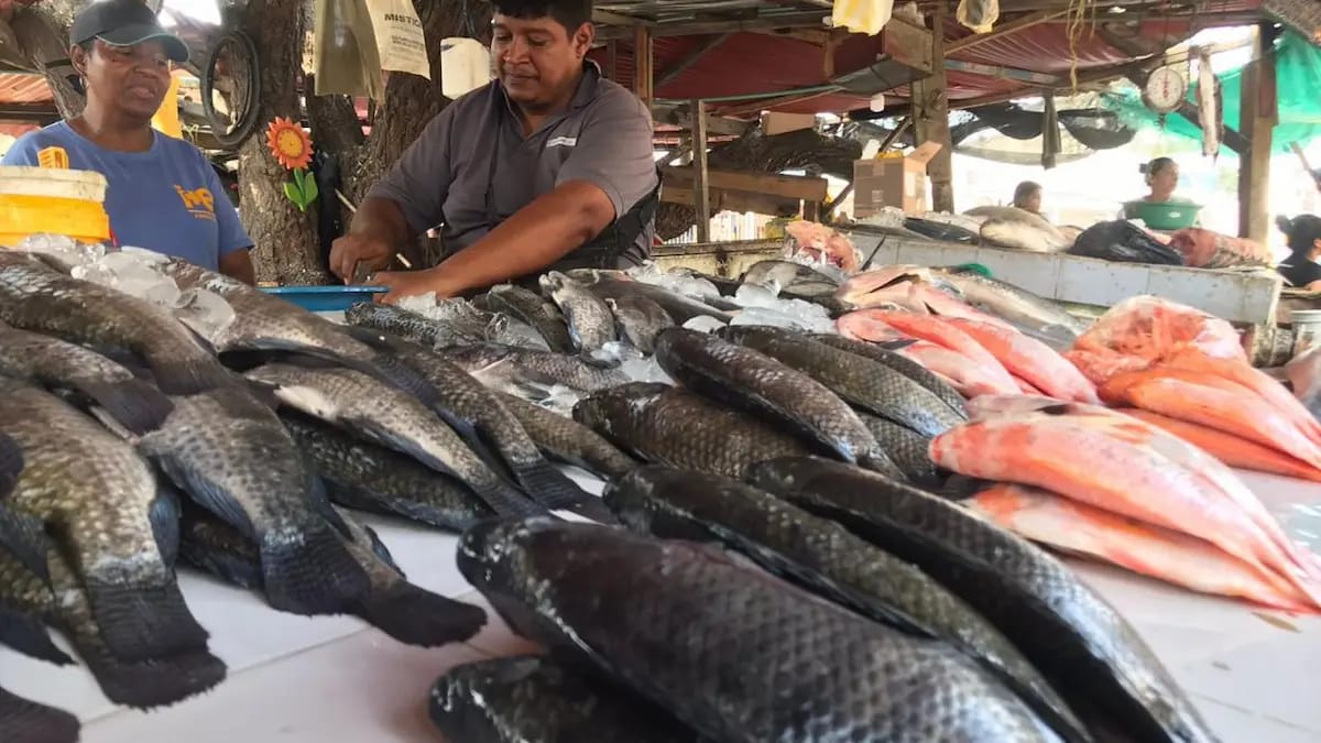 Autoridades de salud emiten recomendaciones ante ola de calor y consumo de pescado en Semana Santa
