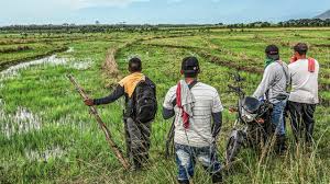 Fedegán alerta sobre invasión ilegal de tierras en el caribe colombiano