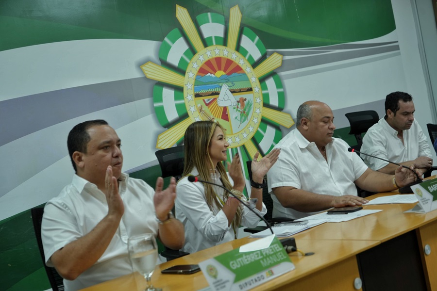 Cesar avanza hacia la inclusión: Gobernadora Elvia Milena Sanjuan impulsa política pública para población con discapacidad