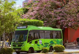 Rutas del SIVA facilitarán la movilidad durante el Festival Silvestrista en Valledupar