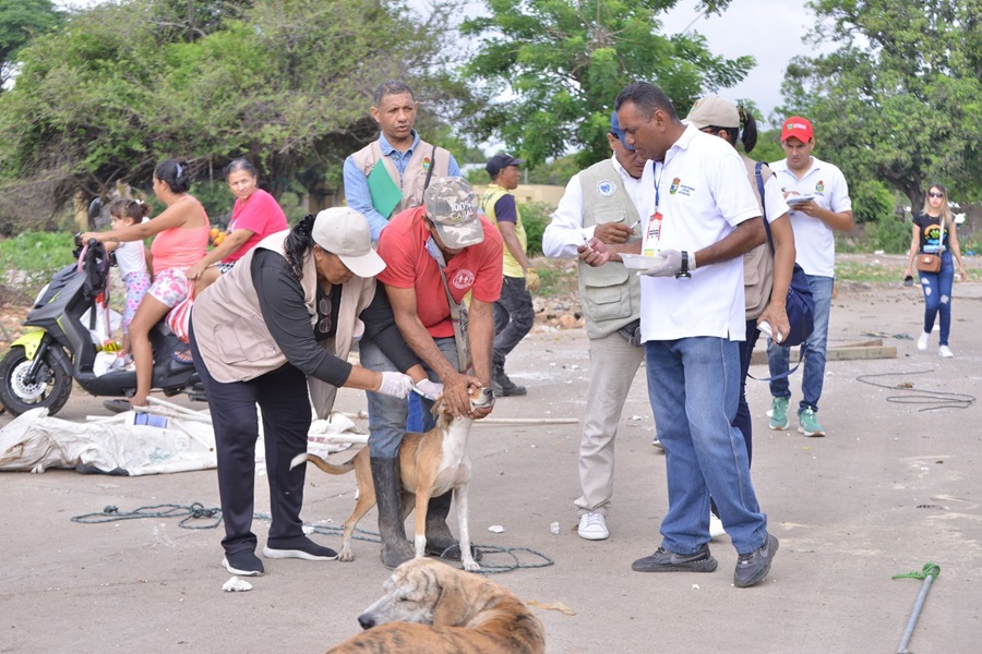 Alcaldía de Valledupar protege a más de 80 animales durante recuperación de predio en el sur de la ciudad