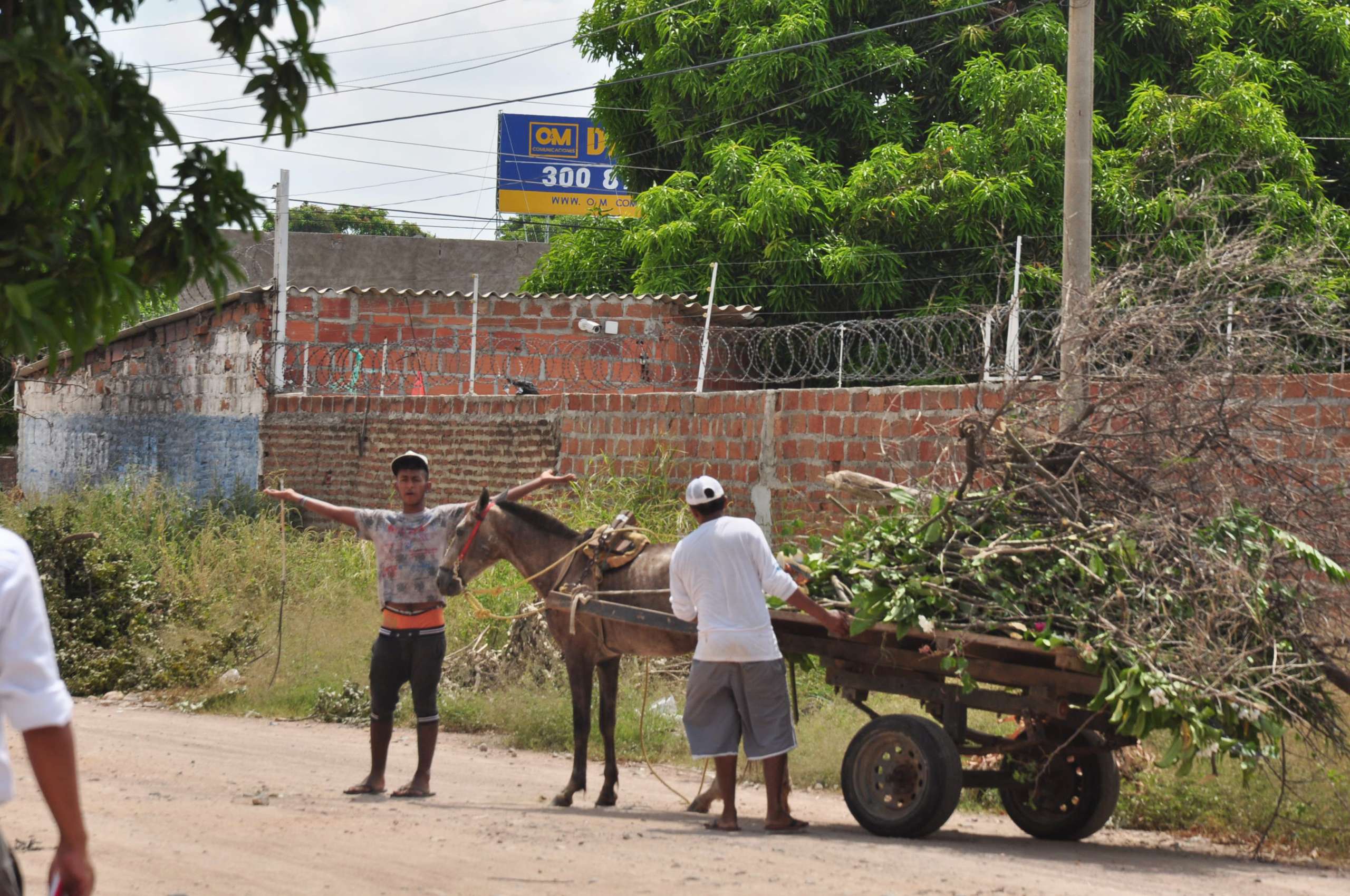 Concejo de Valledupar exige acelerar la reconversión laboral de los carromuleros y sancionar a quienes arrojan escombros en sitios no autorizados