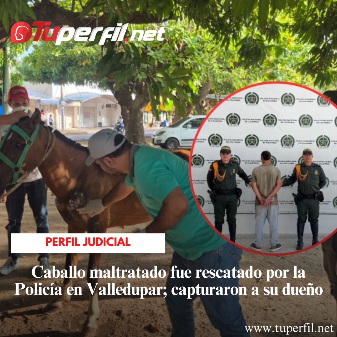 Caballo maltratado fue rescatado por la Policía en Valledupar; capturaron a su dueño