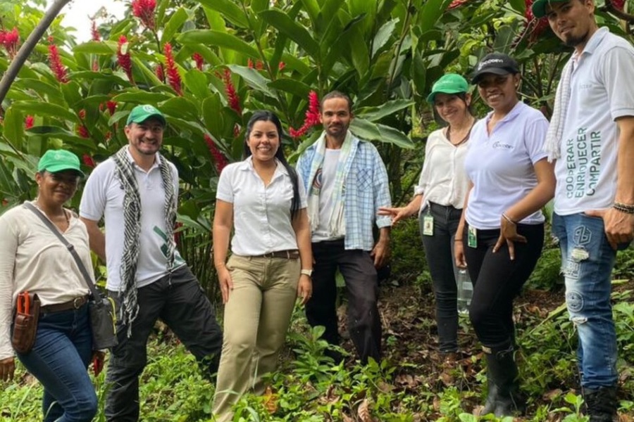 ¡Del Cesar, para el mundo!: campesinos del Perijá exportaron 50 toneladas de cacao premium a Europa
