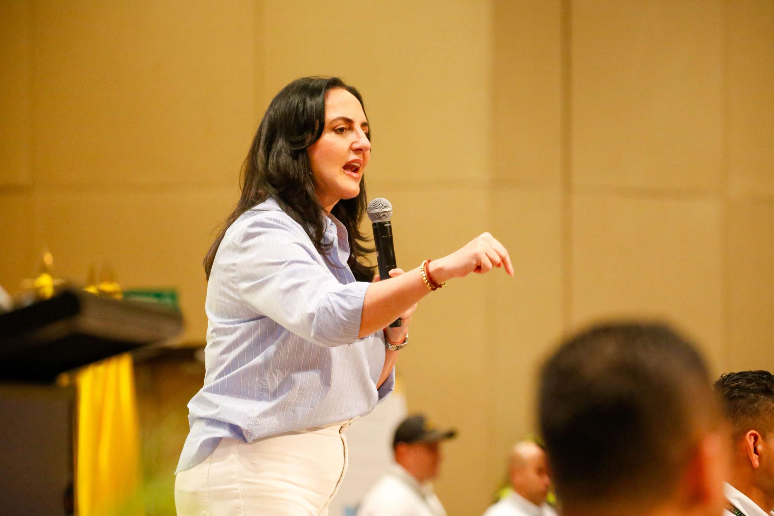 Vieja de Petro a Japón nos costó a los colombianos 776 millones de pesos