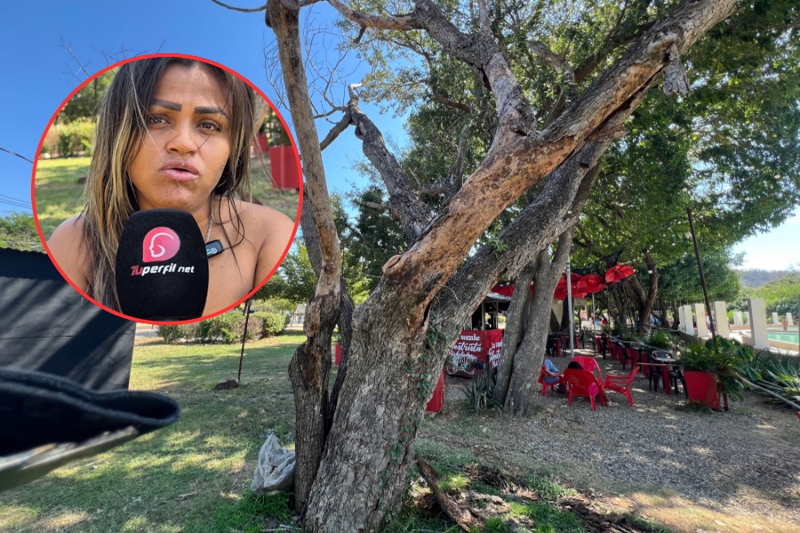 Tengo miedo de que ocurra una tragedia y no nos escuchan”: mujer denuncia peligro por árbol seco en el Parque La Provincia